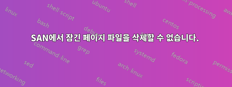 SAN에서 잠긴 페이지 파일을 삭제할 수 없습니다.