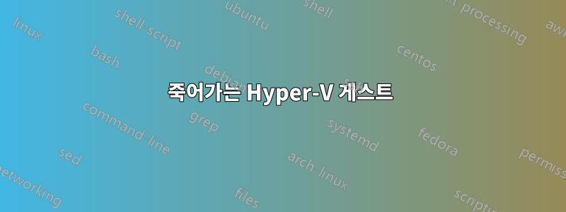 죽어가는 Hyper-V 게스트