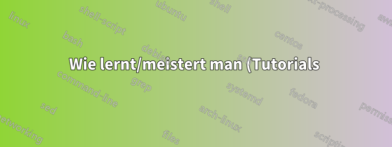 Wie lernt/meistert man (Tutorials) die Verwaltung eines VPS? - VPS-Neuling