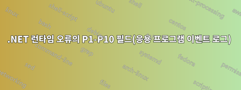 .NET 런타임 오류의 P1-P10 필드(응용 프로그램 이벤트 로그)