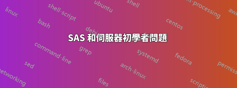 SAS 和伺服器初學者問題