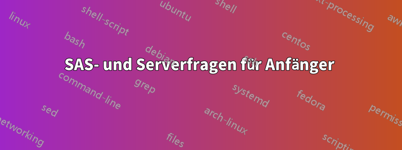 SAS- und Serverfragen für Anfänger