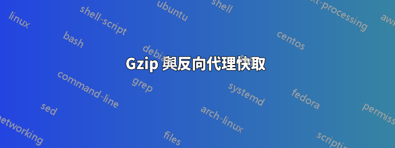 Gzip 與反向代理快取