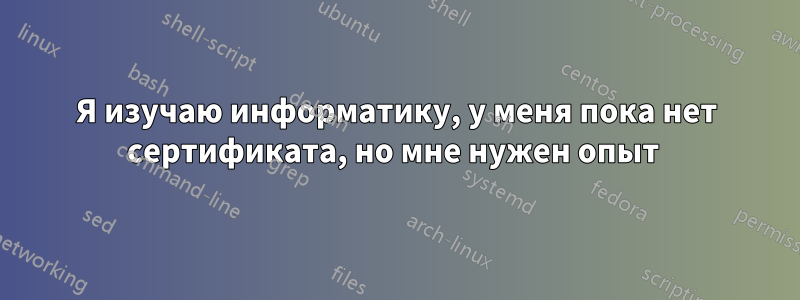 Я изучаю информатику, у меня пока нет сертификата, но мне нужен опыт 