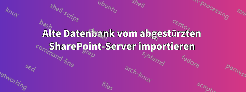 Alte Datenbank vom abgestürzten SharePoint-Server importieren