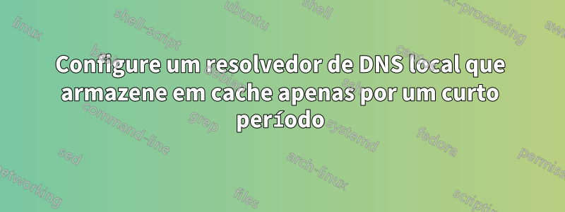 Configure um resolvedor de DNS local que armazene em cache apenas por um curto período