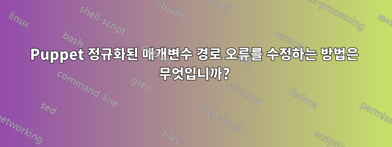 Puppet 정규화된 매개변수 경로 오류를 수정하는 방법은 무엇입니까?