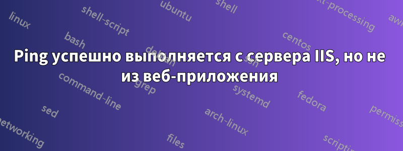 Ping успешно выполняется с сервера IIS, но не из веб-приложения