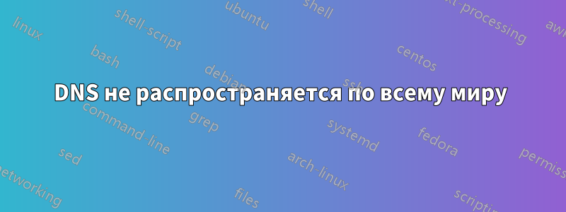 DNS не распространяется по всему миру
