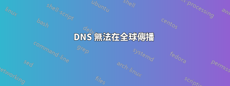 DNS 無法在全球傳播