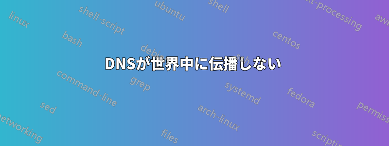 DNSが世界中に伝播しない