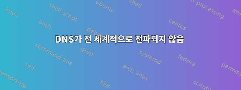 DNS가 전 세계적으로 전파되지 않음