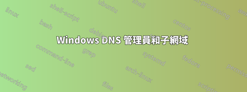 Windows DNS 管理員和子網域