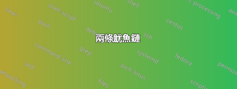 兩條魷魚鏈