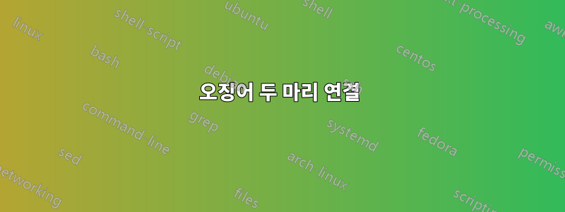오징어 두 마리 연결