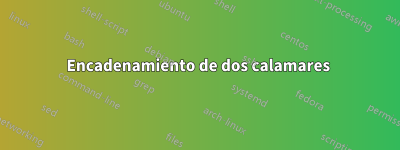 Encadenamiento de dos calamares