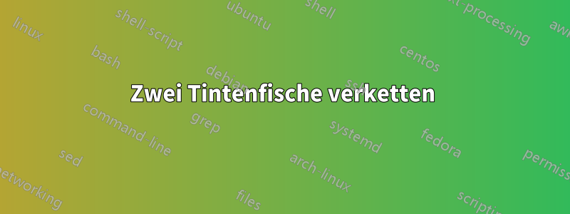 Zwei Tintenfische verketten