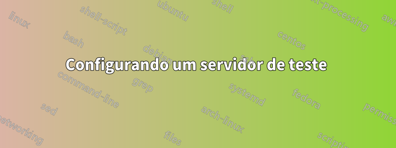 Configurando um servidor de teste