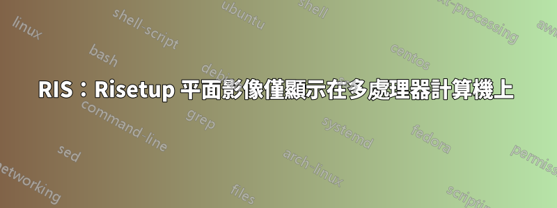 RIS：Risetup 平面影像僅顯示在多處理器計算機上