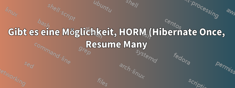Gibt es eine Möglichkeit, HORM (Hibernate Once, Resume Many) unter Windows XP zu emulieren?