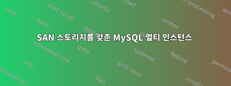 SAN 스토리지를 갖춘 MySQL 멀티 인스턴스