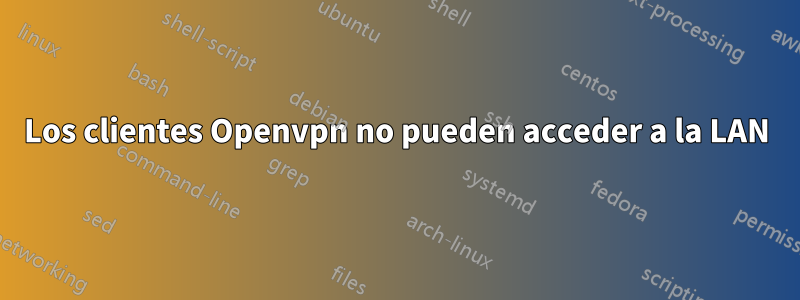 Los clientes Openvpn no pueden acceder a la LAN
