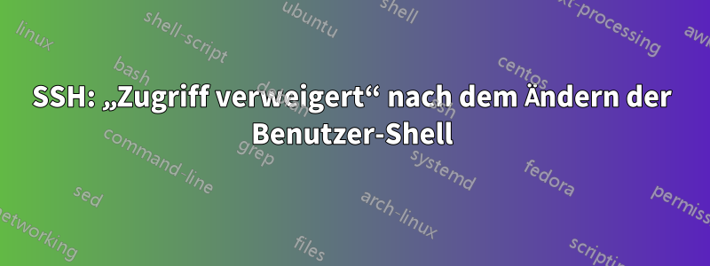 SSH: „Zugriff verweigert“ nach dem Ändern der Benutzer-Shell