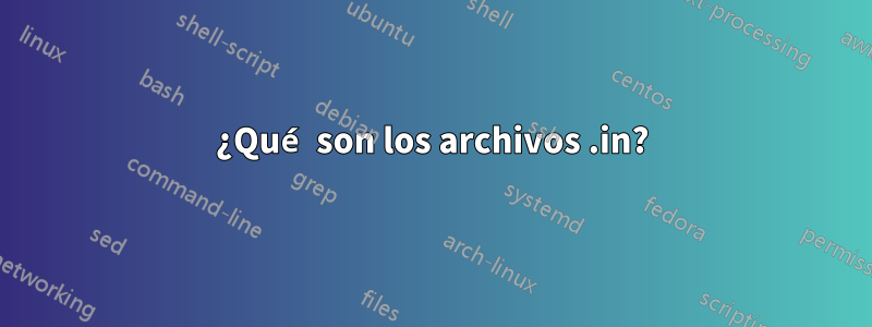 ¿Qué son los archivos .in?