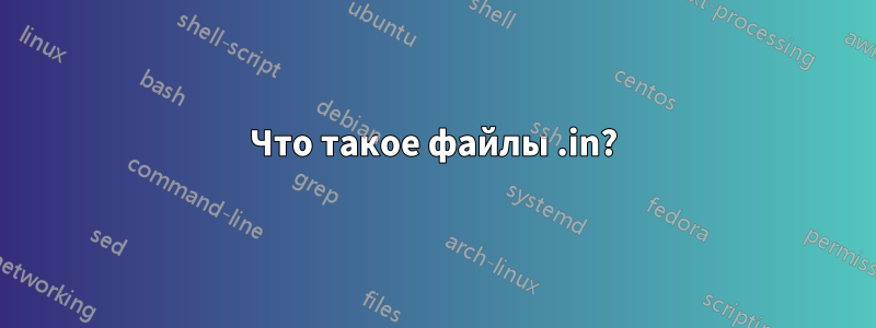 Что такое файлы .in?