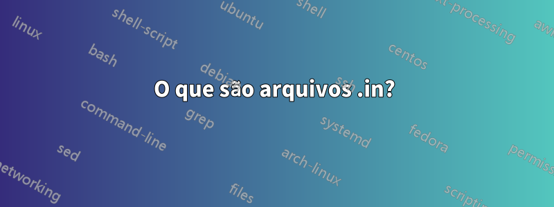 O que são arquivos .in?