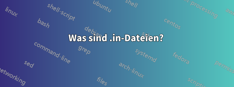 Was sind .in-Dateien?