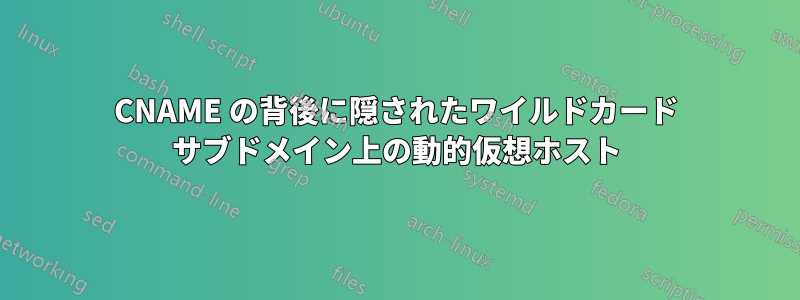CNAME の背後に隠されたワイルドカード サブドメイン上の動的仮想ホスト