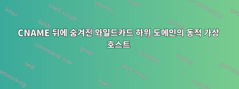 CNAME 뒤에 숨겨진 와일드카드 하위 도메인의 동적 가상 호스트
