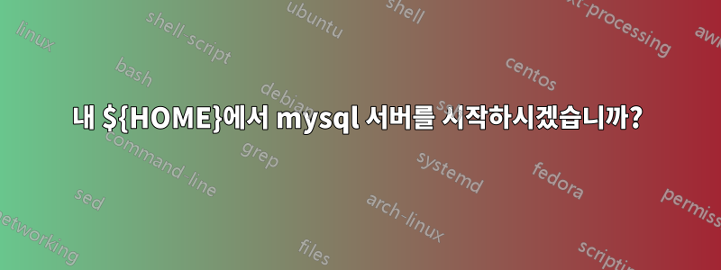 내 ${HOME}에서 mysql 서버를 시작하시겠습니까?