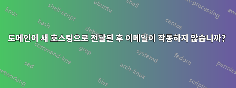 도메인이 새 호스팅으로 전달된 후 이메일이 작동하지 않습니까?