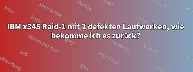 IBM x345 Raid-1 mit 2 defekten Laufwerken, wie bekomme ich es zurück?