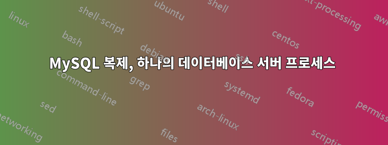 MySQL 복제, 하나의 데이터베이스 서버 프로세스