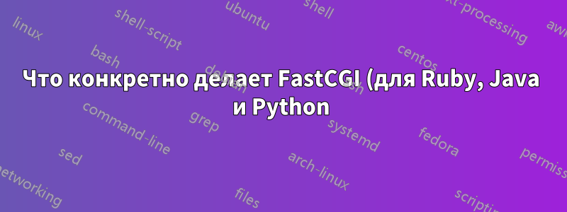 Что конкретно делает FastCGI (для Ruby, Java и Python)?