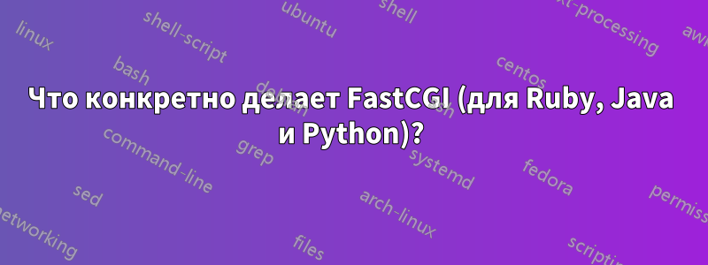 Что конкретно делает FastCGI (для Ruby, Java и Python)?