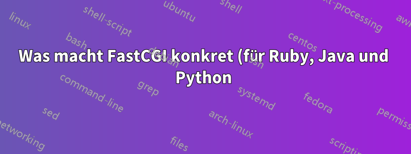 Was macht FastCGI konkret (für Ruby, Java und Python)?