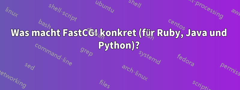 Was macht FastCGI konkret (für Ruby, Java und Python)?