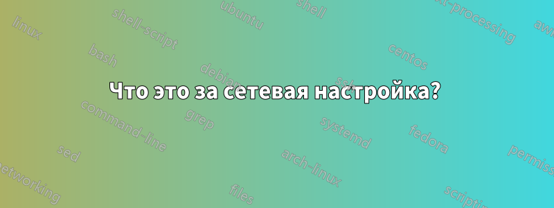 Что это за сетевая настройка?