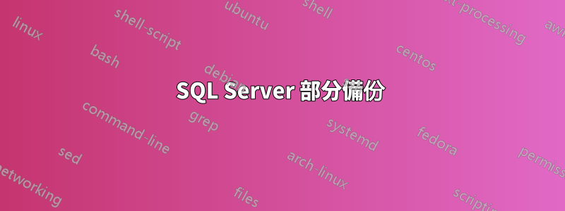 SQL Server 部分備份