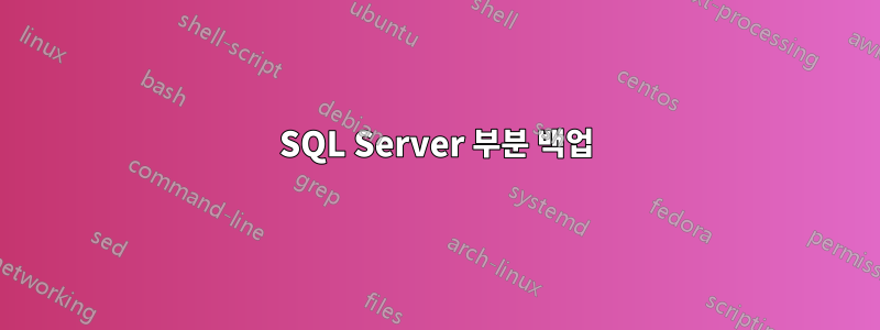 SQL Server 부분 백업