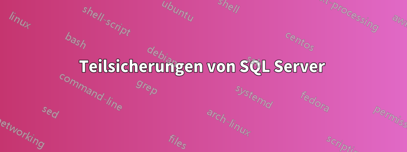 Teilsicherungen von SQL Server