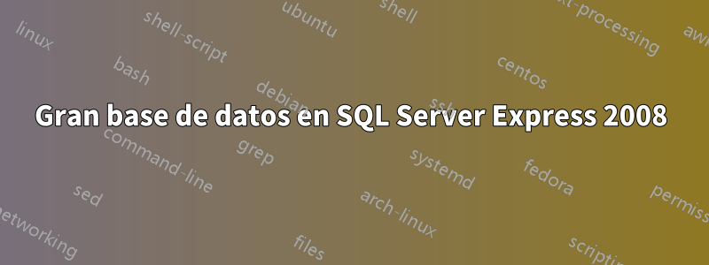 Gran base de datos en SQL Server Express 2008