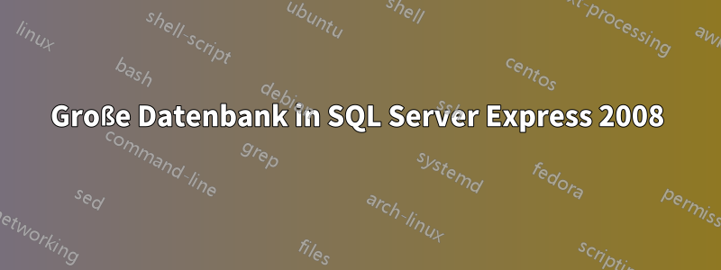 Große Datenbank in SQL Server Express 2008