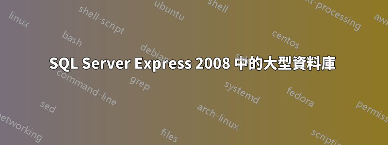 SQL Server Express 2008 中的大型資料庫