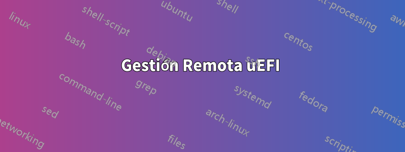 Gestión Remota uEFI