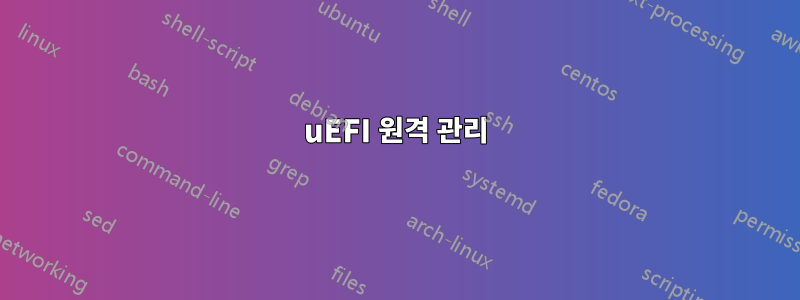 uEFI 원격 관리